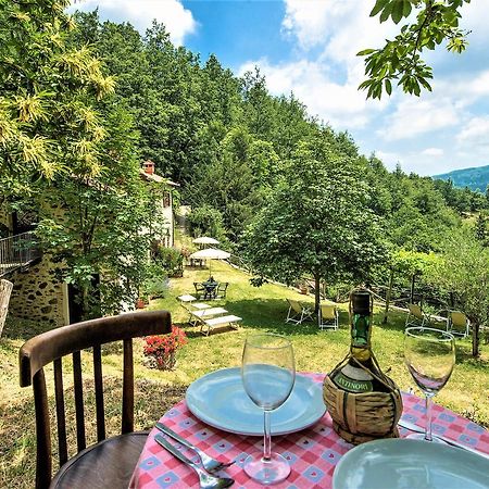 Agriturismo Il Gufo 산 마르첼로 피스토이에세 외부 사진
