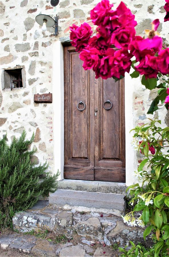 Agriturismo Il Gufo 산 마르첼로 피스토이에세 객실 사진
