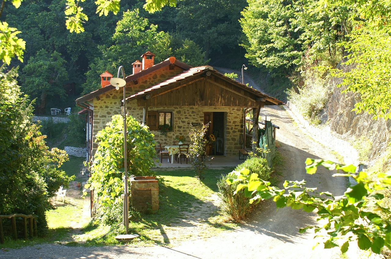 Agriturismo Il Gufo 산 마르첼로 피스토이에세 외부 사진